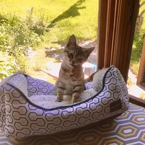 Meet your Posher, Ursula